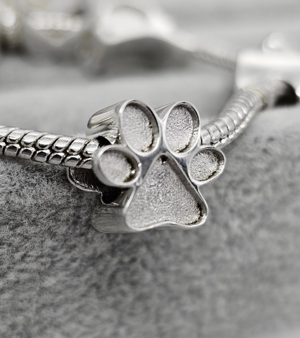 Sterling Silver Paw Print Keepsake Charm